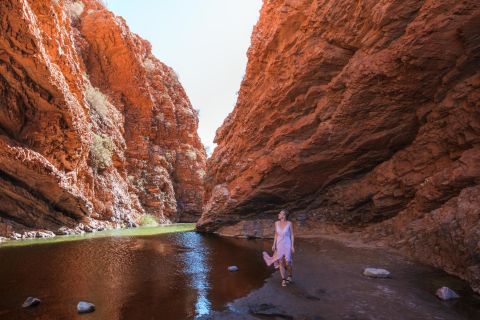 Alice Springs: Town Highlights and West MacDonnell Ranges