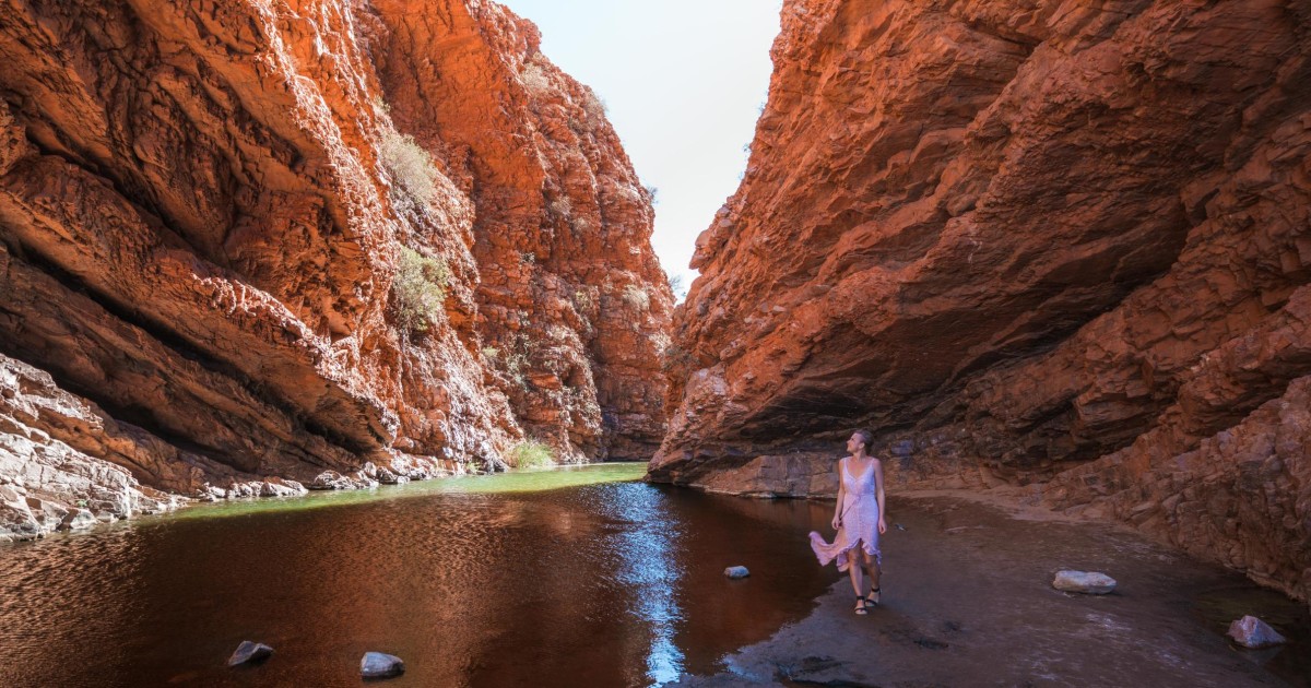 Alice Springs: Town Highlights and West MacDonnell Ranges | GetYourGuide