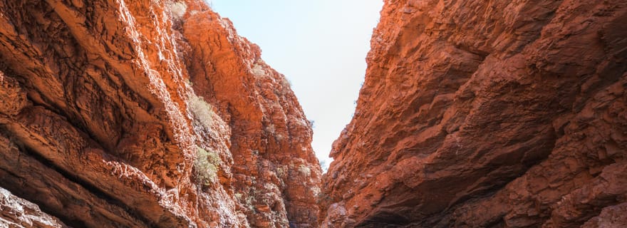 Alice Springs : Points forts de la ville et chaîne de montagnes MacDonnell Ouest