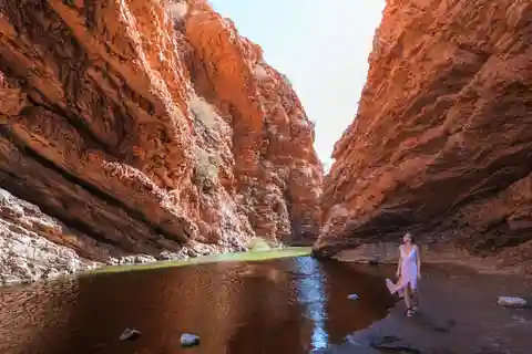 Alice Springs: destaques da cidade e cordilheiras de West MacDonnell