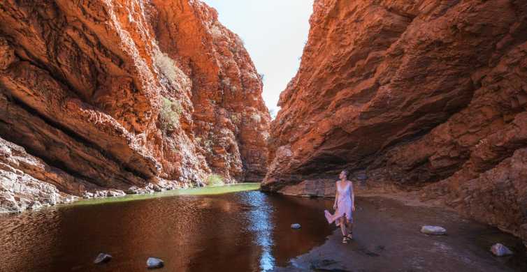 Alice Springs Town Highlights and West MacDonnell Ranges