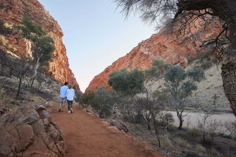 alice springs highlights tour