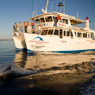 Jervis Bay: 1.5 Hour Dolphin Cruise