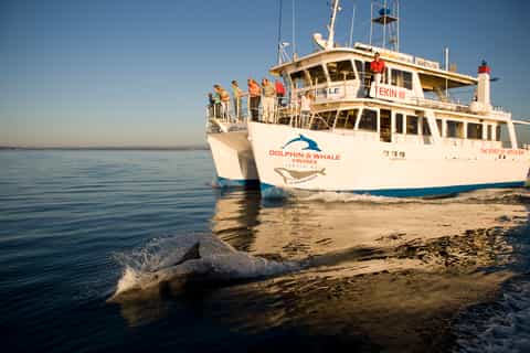 Jervis Bay: 1.5 Hour Dolphin Cruise