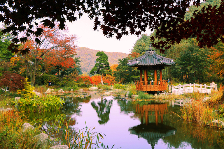 Seoul: Private anpassbare Tour zur Nami-Insel und mehr