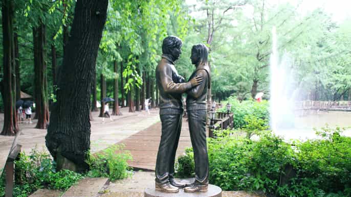 seoul private customizable tour to nami island and more