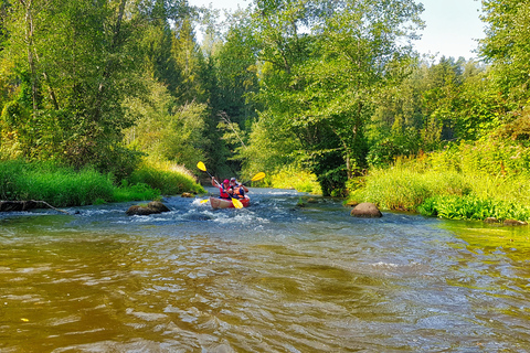 From Riga: Full-Day Scenic Gauja River Valley Kayaking Trip From Riga: Full-Day River Kayaking Tour to Sigulda