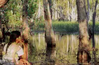 Darwin, Premium Litchfield Regional Small Group Day Tour - Housity