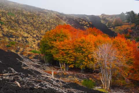 Aventura y naturaleza