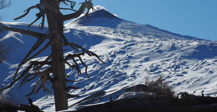 Mount Etna Trek To The Craters Of The Eruption Getyourguide