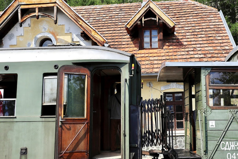 Ab Belgrad: 1-tägige Tour mit der Eisenbahn Sargan 8 und der Holzstadt