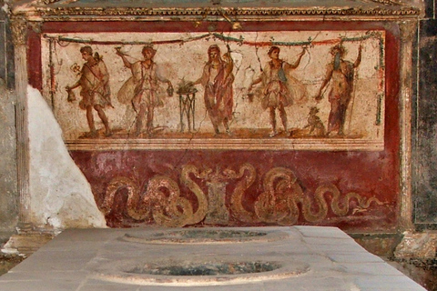 From Rome: Pompeii and Vesuvius Private Full-Day Tour