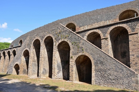 From Rome: Pompeii and Vesuvius Private Full-Day Tour