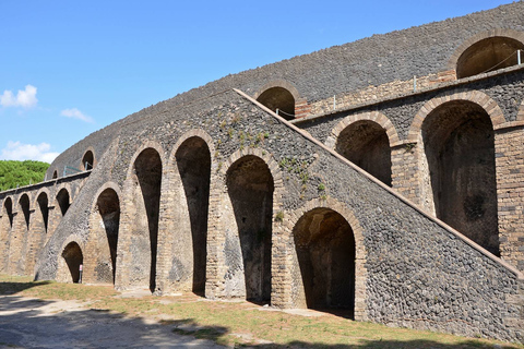 Vanuit Rome: Pompeii en Vesuvius privétour van een hele dag