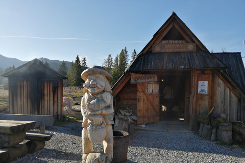 Van Krakau: Zakopane en thermale baden Tour