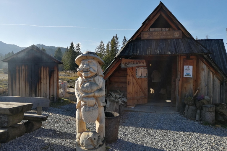 Van Krakau: Zakopane en thermale baden Tour