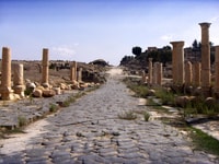 De Amman, Jerash, Ajloun Castle o Umm Qais Private Tour - Housity