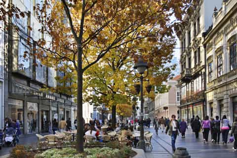 Belgrade: Shared Group or Private Guided Walking Tour