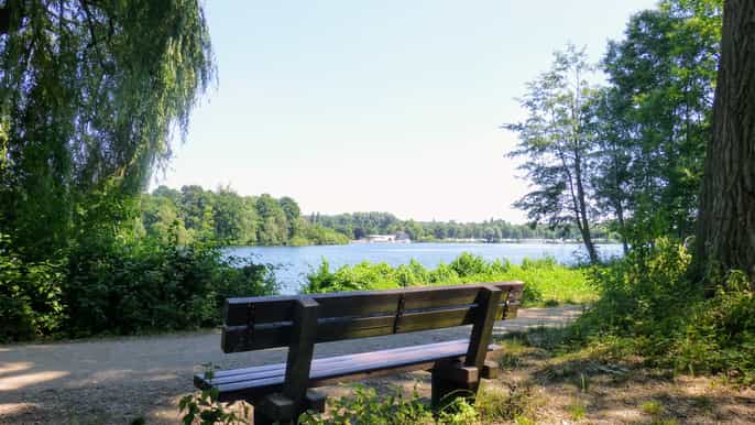 düsseldorf 1hour guided escooter nature tour
