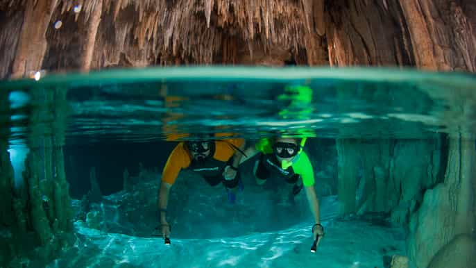 cancun/riviera maya tulum ruins sea turtle swim cenotes