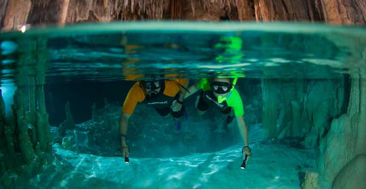 Cancun Riviera Maya Tulum Ruins Sea Turtle Swim & Cenotes GetYourGuide