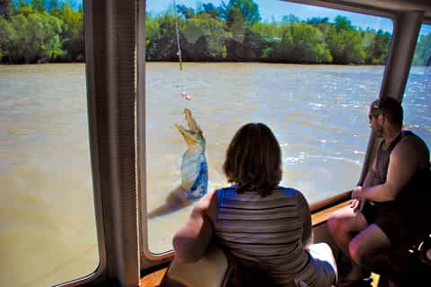 Darwin: City Sights and Jumping Crocodile Cruise