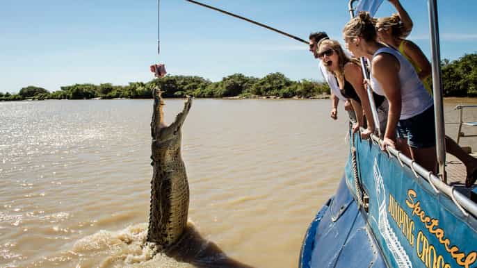 darwin city sights and jumping crocodile cruise