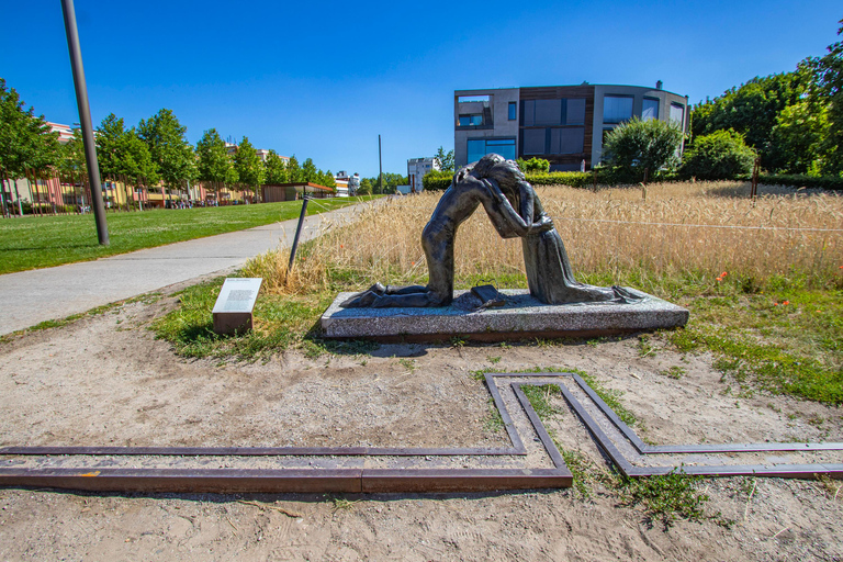 柏林：与当地专家一起的私人建筑之旅
