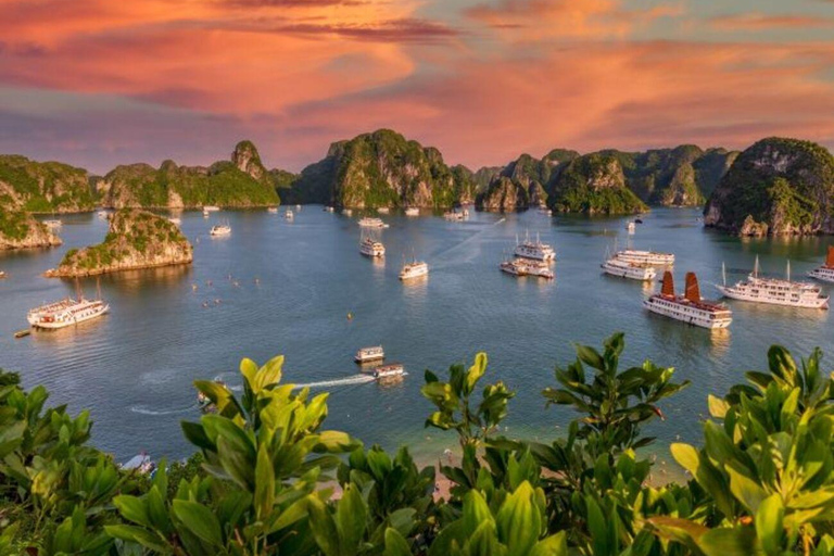 From Hanoi: Halong Bay, Titop Island, Sung Sot & Luon Caves