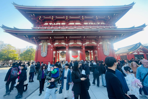 Tokyo Private Luxury City Tour with Professional Guide