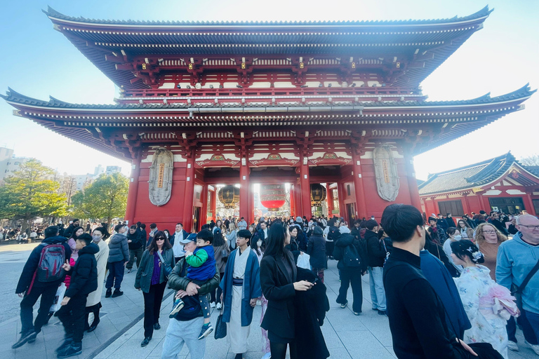 Tokyo Private Luxury City Tour with Professional Guide