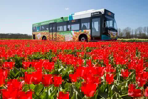 Amsterdam: Amsterdam & Region Travel Ticket for 1-3 Days
