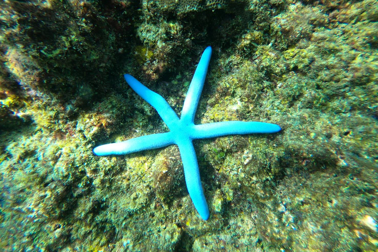 Koh Lanta: 4 Islands and Emerald Cave Snorkeling Trip