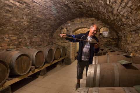 From Belgrade: Novi Sad and Karlovci Sremski Wine Tasting