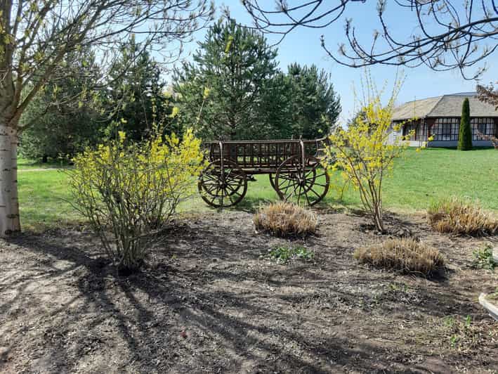 From Belgrade Novi Sad and Karlovci Sremski Wine Tasting GetYourGuide