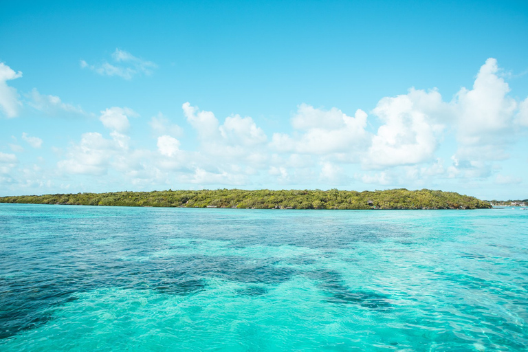 Mauricio: Crucero en catamarán desde Bluebay a Ile aux CerfsTour con traslados