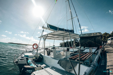 Mauricio: Crucero en catamarán desde Bluebay a Ile aux CerfsTour con traslados