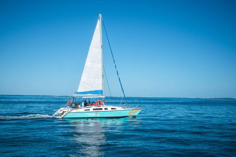 Mauricio: Crucero en catamarán desde Bluebay a Ile aux CerfsTour con traslados