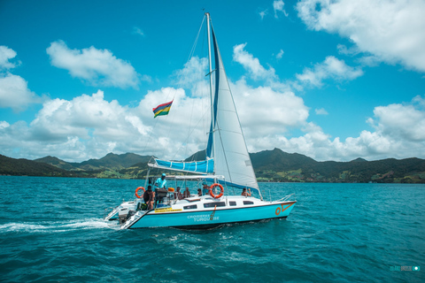 Mauricio: Crucero en catamarán desde Bluebay a Ile aux CerfsTour con traslados