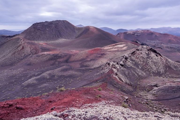 From Fuerteventura: Lanzarote Volcano and Wine Region Tour From Corralejo