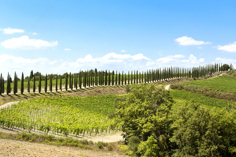 Bella Toscana: San Gimignano and two wineries from Livorno