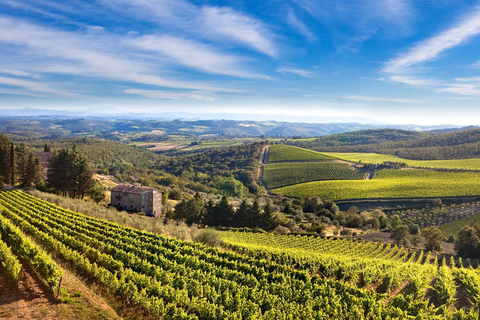 Bella Toscana: San Gimignano and two wineries from Livorno