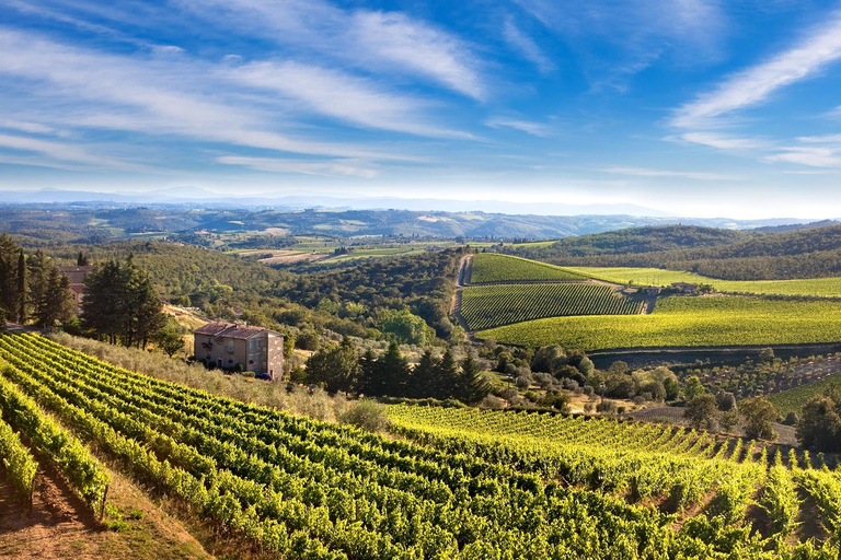 Bella Toscana: San Gimignano and two wineries from Livorno