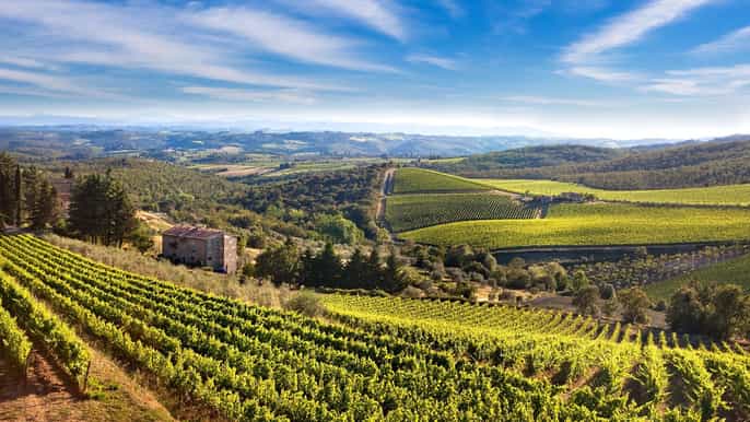 de livorno excursão para amantes de chianti com almoço