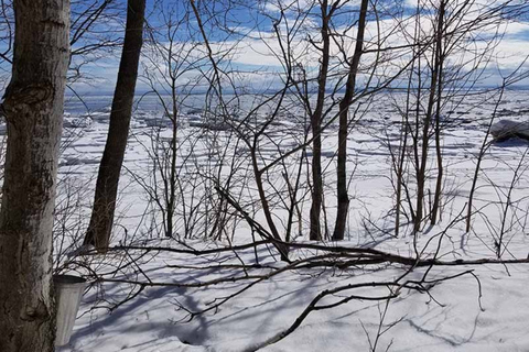 Ciudad de Quebec: Traslado desde Sugar Shack