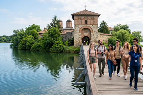 Bucharest: Slanic Salt Mine & Dracula’s Tomb Day Tour Audio guide in 24 languages