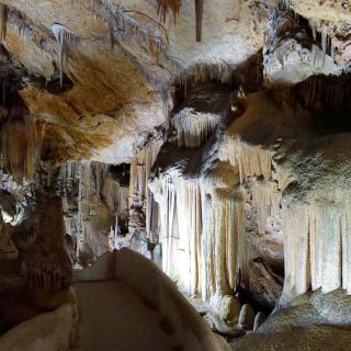 Majorque: billet d'entrée aux grottes de Campanet et audioguide en option