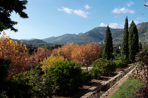 Mallorca: Ticket für die Campanet-Höhlen