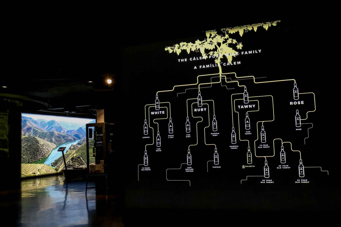 Porto: Cálem Cellar with Chocolate, Cheese, and Wine Tasting