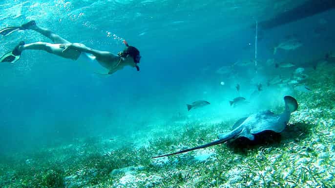 caye caulker holchan snorkeling san pedro tour w/ lunch